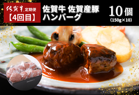 【定期便4回】佐賀牛セット 2.9kg（約2～3人前）：B985-003