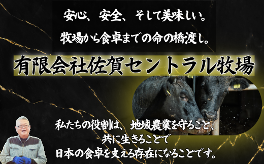 【定期便6回】佐賀牛サーロインステーキ 200g×2枚：C117-041