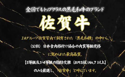 【定期便12回】佐賀牛 赤身焼肉セット 600g：C232-006