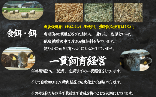 【定期便12回】佐賀牛 赤身ブロック肉 1000g：C293-002