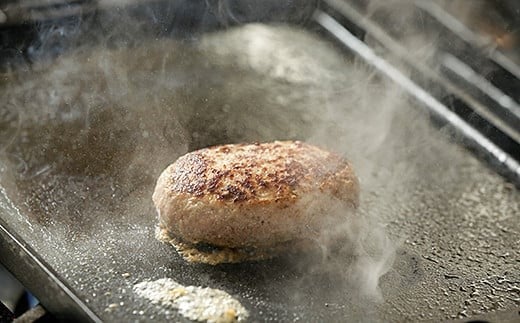 【全12回定期便】佐賀牛15kgコース（5～10人分）：C858-001