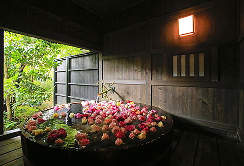 大和屋　日帰り（入浴・昼食付）プラン：B335-013