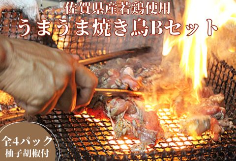 まこっちゃん うまうま焼き鳥Bセット：B140-013