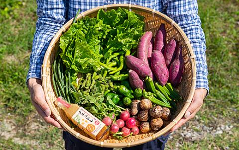 佐賀産季節の旬野菜10種類とドレッシング：B150-030