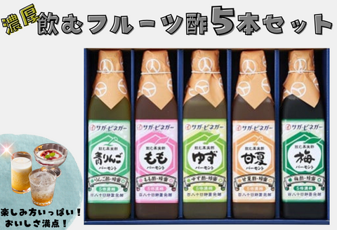 濃厚飲むフルーツ酢5本：B210-016