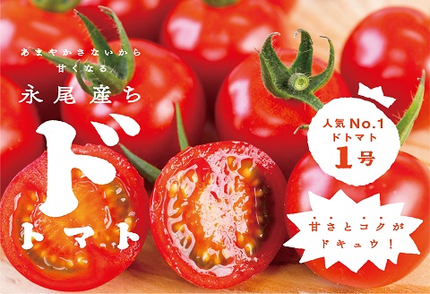 【人気】甘さとコクがド級！ドトマト1号：B140-010