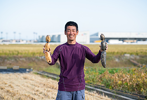 うんっま！！佐賀れんこん 3kg：B165-001