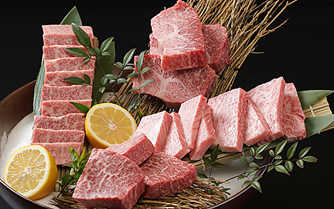 【全12回定期便】佐賀牛15kgコース（5～10人分）：C858-001