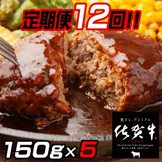 【定期便12回】佐賀牛入りハンバーグ 5個：C115-004