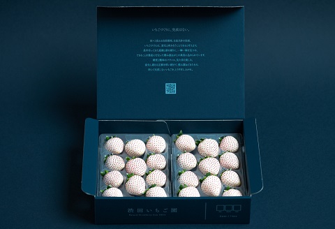 佐賀県産いちご パールホワイト：B190-025