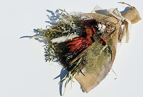 ワイルドフラワー：B220-022