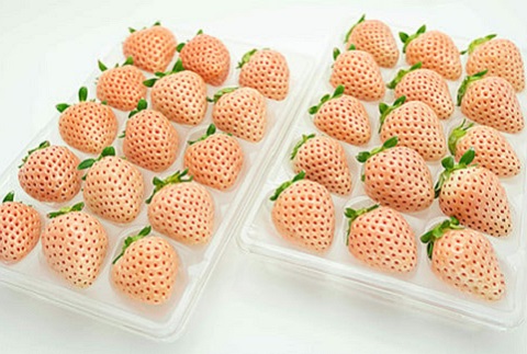 【定期便3回】佐賀県産 ３種いちご食べ比べ【2月から4月発送】：B395-006