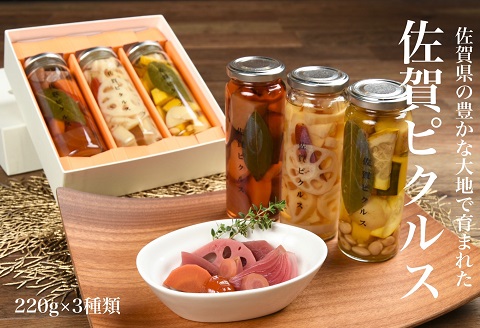 佐賀産熟成お酢使用【佐賀野菜のピクルス】3本：B140-050