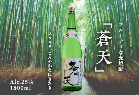 佐嘉酒造　肥前竹炭麦焼酎　蒼天：A090-003