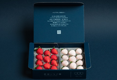 佐賀県産いちご 赤いちごと白いちご 食べ比べセット：B140-067