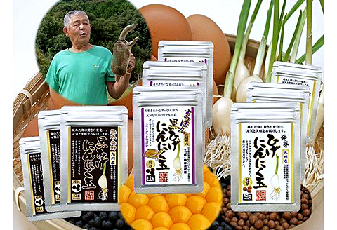 佐賀の手作りひげにんにく卵黄９袋セット：B525-001