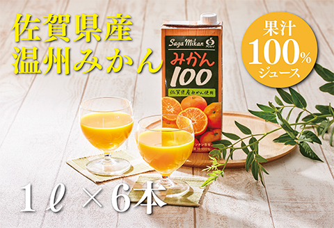 さがみかん100 1L×6本：B110-051