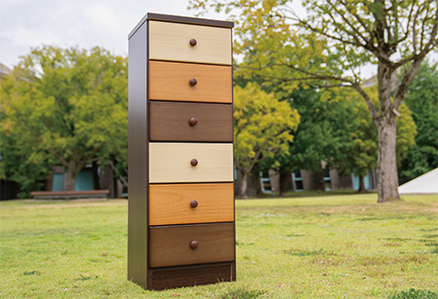 40スリムチェストマルーン2 六段【諸富家具】：B855-002