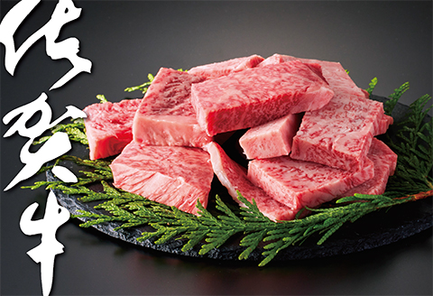 佐賀牛はしっこちゃん500：B160-029