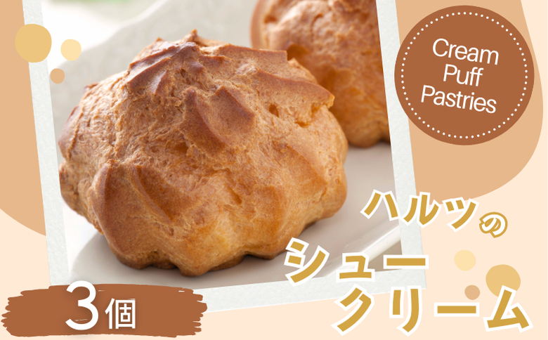 ハルツのシュークリーム 3個 創業40年 スイーツ 洋菓子 お菓子 おやつ デザート 小分け 個包装 ご褒美 お取り寄せ 人気 冷凍配送 送料無料 佐賀県 佐賀市：A070-003