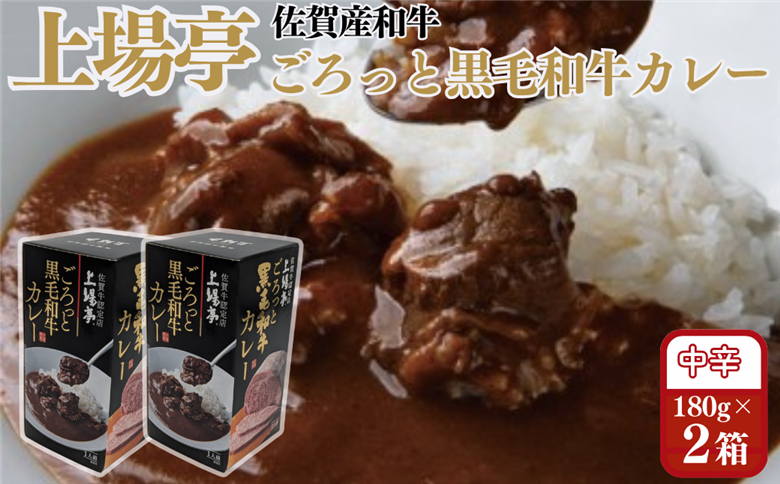 ごろっと黒毛和牛カレー 佐賀牛 カレー ビーフカレー レトルト 湯煎 レンジ調理 簡単 ：A080-011
