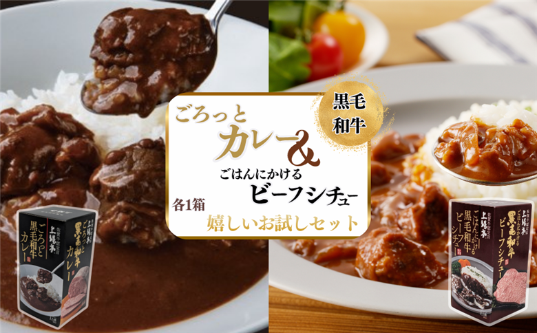 ごろっとカレー・ビーフシチューセット 佐賀牛 カレー ビーフシチュー レトルト 湯煎 レンジ調理 簡単 ：A080-012