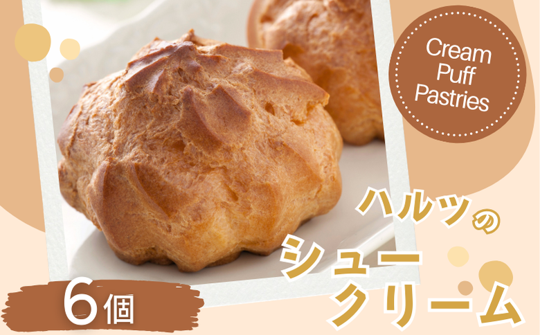 ハルツのシュークリーム 6個 創業40年 スイーツ 洋菓子 お菓子 おやつ デザート 小分け 個包装 ご褒美 お取り寄せ 人気 冷凍配送 送料無料 佐賀県 佐賀市：A090-036