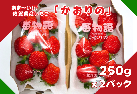 佐賀県産 いちご「かおりの」（250g×2パック）：A080-006