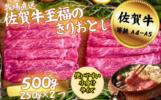 佐賀牛 至福のきりおとし 500g：B130-052