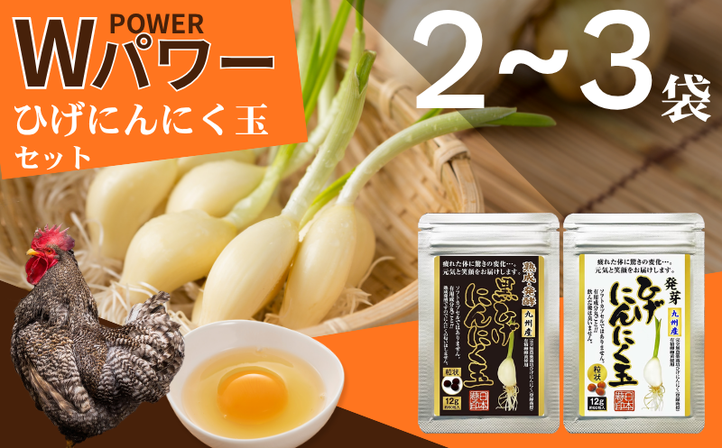 【ポスト投函】ひげにんにくの伝統製法 選べる2種セット（熟成発酵黒ひげにんにく・発芽ひげにんにく）：B115-037 2袋セット