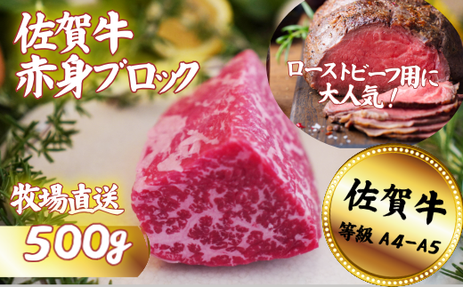 【牧場直送】佐賀牛 赤身ブロック肉 500g：B150-065