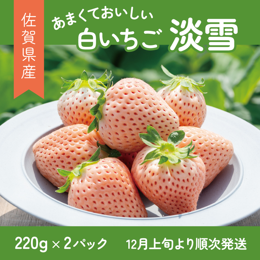 【先行予約】希少価値 佐賀県産 いちご 淡雪 220g×2パック フルーツ 旬 果物 イチゴ 苺 ピンク苺 白いちご 九州 佐賀県 佐賀市 清瀬農園 朝詰み：B140-009