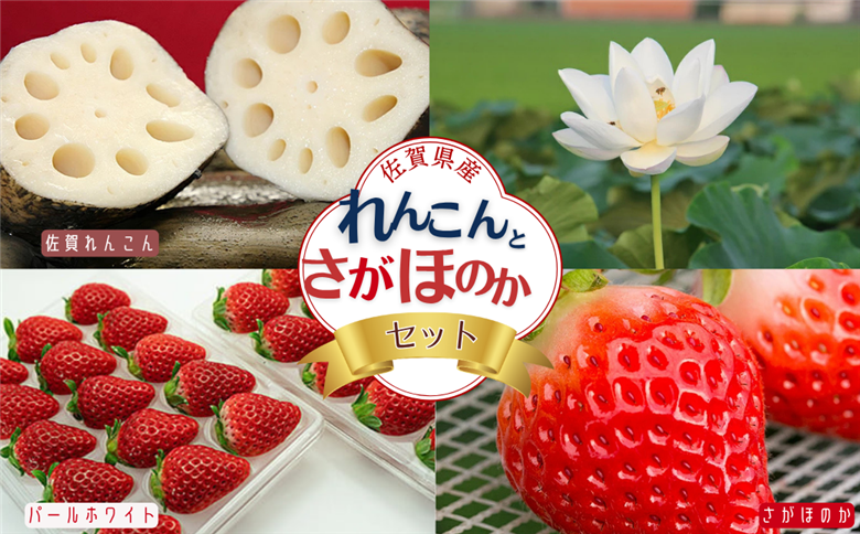 佐賀県産 れんこんとさがほのかのセット：B160-020