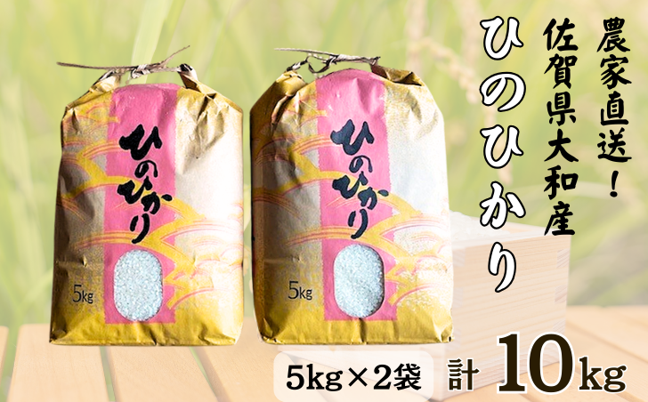 佐賀県大和産「ひのひかり」5kg×2袋 米 農家直送：B320-018