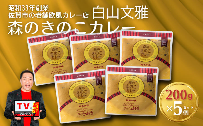 白山文雅 森のきのこカレー5個セット：B195-002