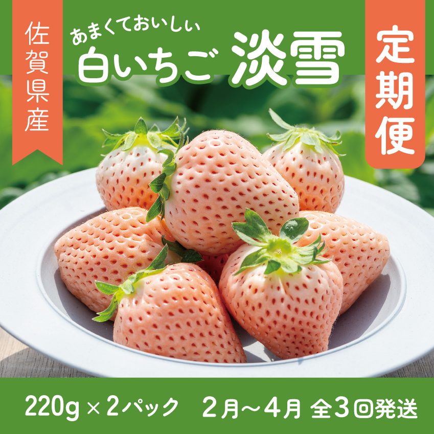 【定期便3回】希少価値 佐賀県産 いちご 淡雪 2~4月発送 フルーツ 果物 定期便 旬 苺 白いちご 九州 佐賀県 佐賀市 清瀬農園：B395-009