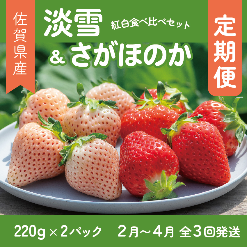 【定期便3回】佐賀県産 紅白いちご 食べ比べ 2~4月発送 淡雪 さがほのか フルーツ 果物 定期便 旬 苺 紅白 白いちご 九州 佐賀県 佐賀市 清瀬農園：B395-011