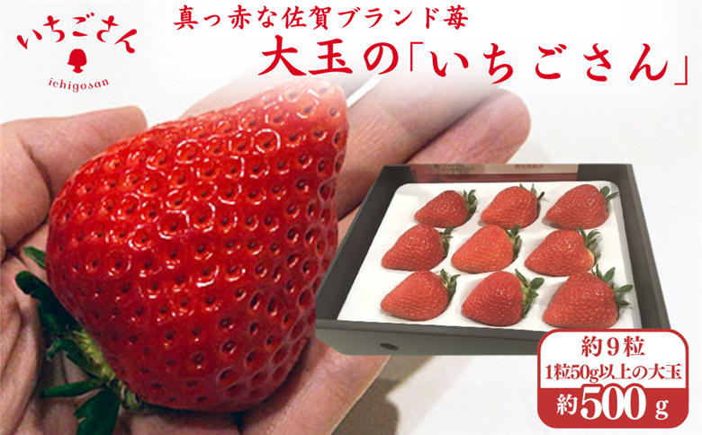 ITOFARM 大玉のいちごさん イチゴ いちご 苺 フルーツ 果物 佐賀県産 ：B630-002