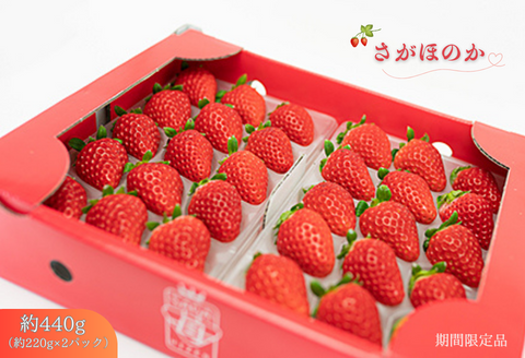 【先行予約】 佐賀県産 いちご さがほのか フルーツ 果物 旬 苺 イチゴ 220g×2P 九州 佐賀県 佐賀市 清瀬農園：B100-035