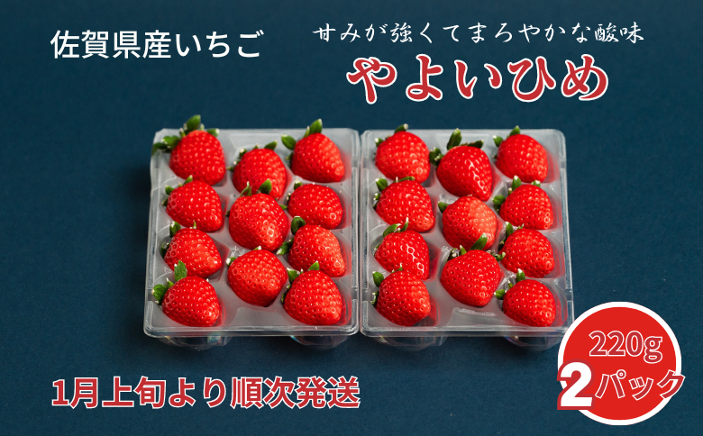 佐賀県産いちご やよいひめ：B100-038