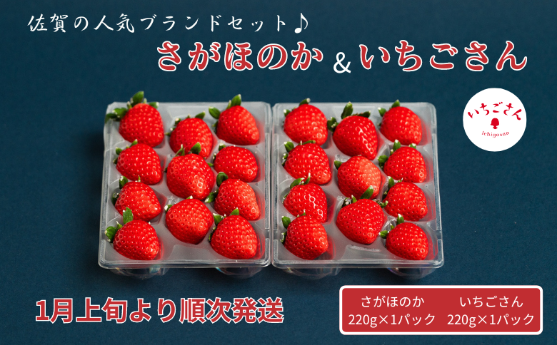 佐賀県産いちご さがほのか&いちごさんセット：B100-039