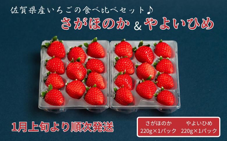 佐賀県産いちご さがほのか&やよいひめセット：B100-040
