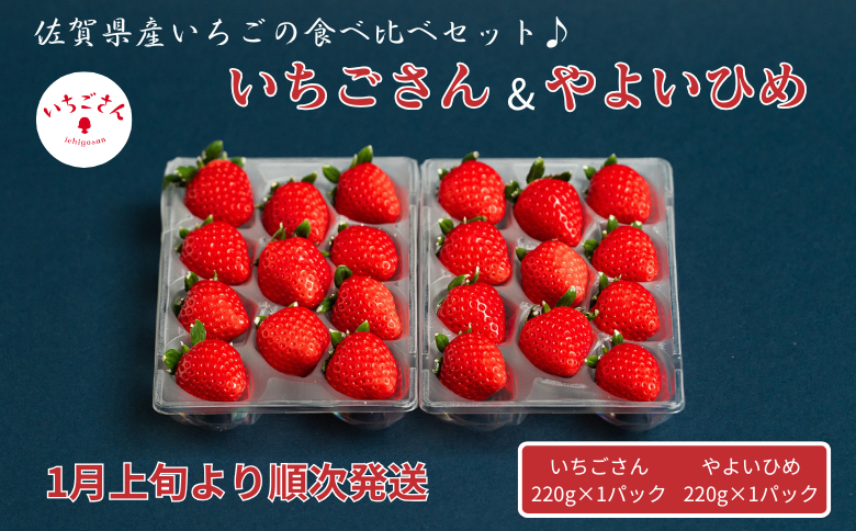 佐賀県産いちご いちごさん&やよいひめセット：B100-041