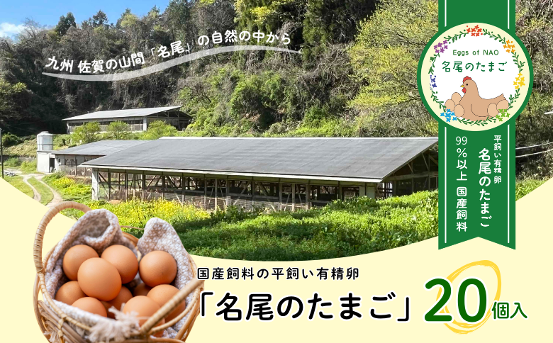 国産飼料の平飼い有精卵「名尾のたまご」20個入：B100-045