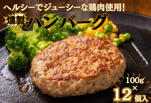 燻製ハンバーグ12個：B105-016