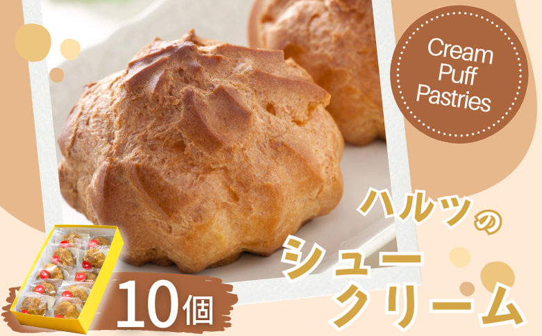 ハルツのシュークリーム 10個 創業40年 スイーツ 洋菓子 お菓子 おやつ デザート 小分け 個包装 ご褒美 お取り寄せ 人気 冷凍配送 送料無料 佐賀県 佐賀市：B120-073