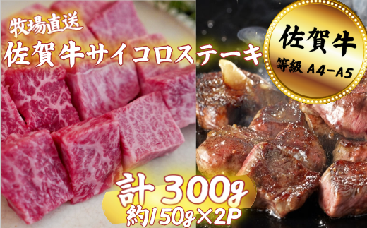 佐賀牛 サイコロステーキ 300g：B120-061