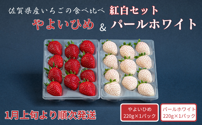 佐賀県産いちご やよいひめ&パールホワイト 紅白セット：B140-082