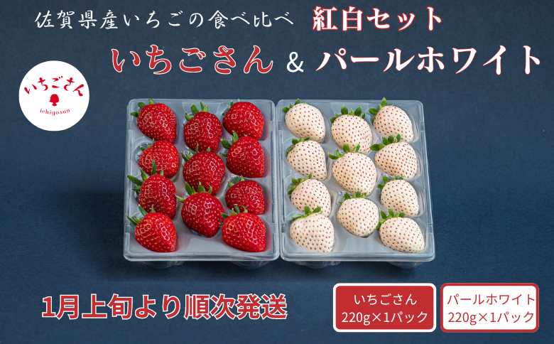 佐賀県産いちご いちごさん&パールホワイト 紅白セット：B140-083