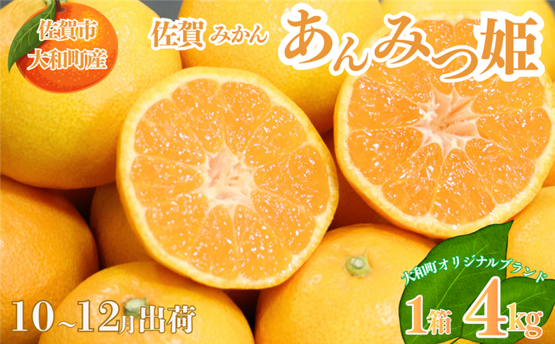 【10～12月発送】数量限定 佐賀みかん あんみつ姫 佐賀市大和町産 温州みかん：B150-075